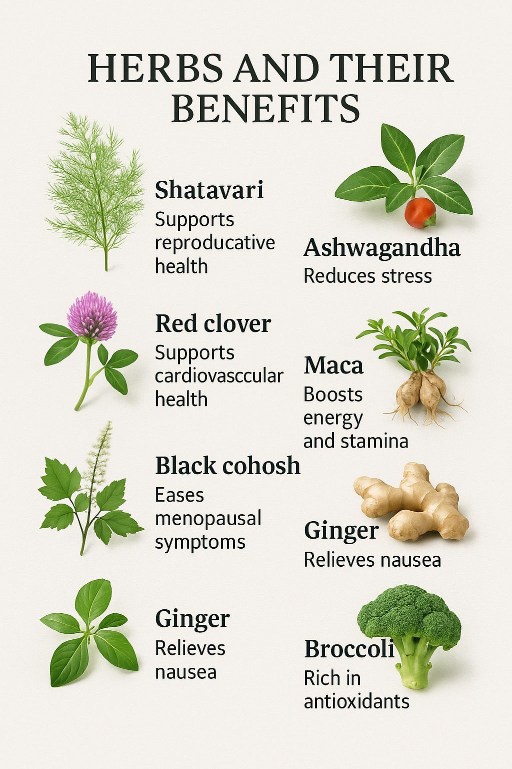 Singh Women Vitality Blend